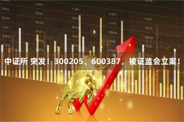 中证所 突发！300205、600387，被证监会立案！