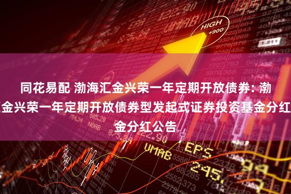 同花易配 渤海汇金兴荣一年定期开放债券: 渤海汇金兴荣一年定期开放债券型发起式证券投资基金分红公告