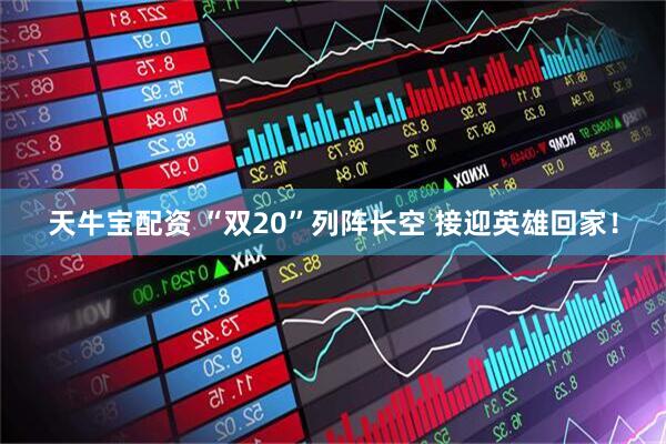 天牛宝配资 “双20”列阵长空 接迎英雄回家！