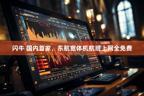 闪牛 国内首家，东航宽体机航班上网全免费